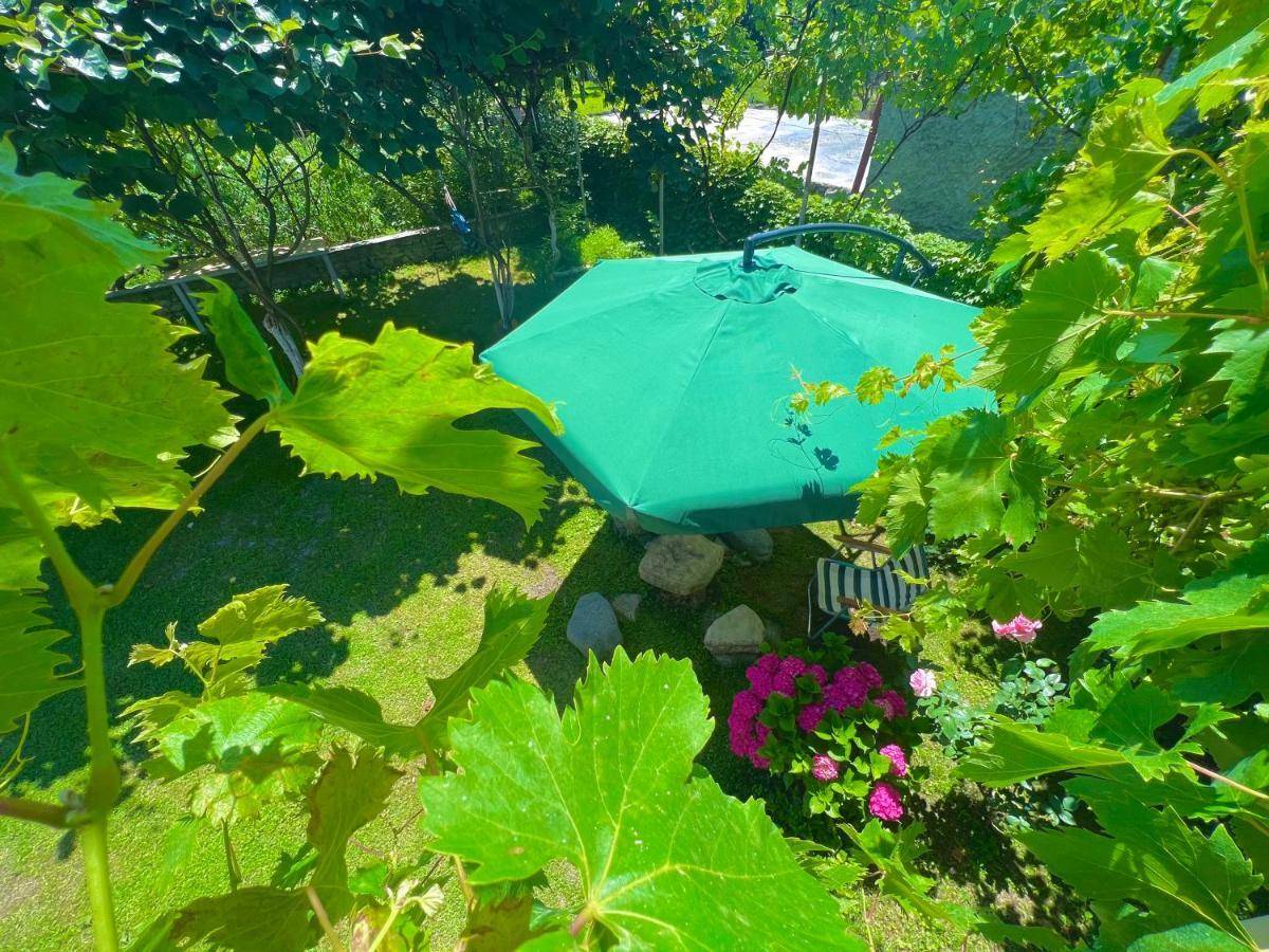 Home Inn-Guesthouse Lagodehi Dış mekan fotoğraf