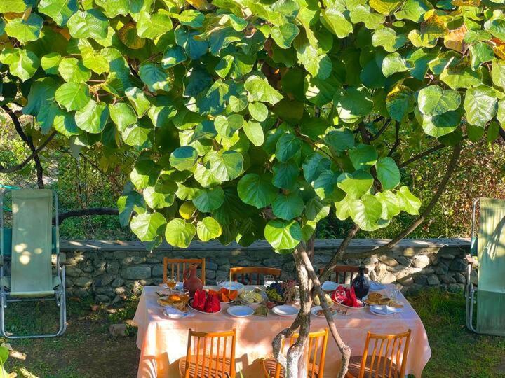Home Inn-Guesthouse Lagodehi Dış mekan fotoğraf